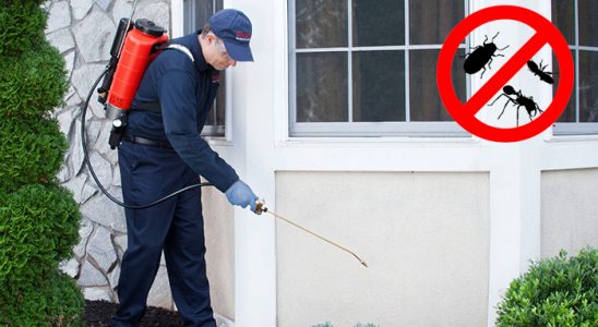 Ardanuç Kemirgen İlaçlama böcek ilaçlama ve haşere kontrolü — ilaclama-tr.com